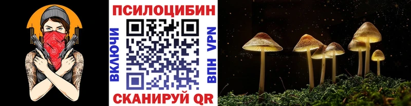 Галлюциногенные грибы Psilocybine cubensis  Волгодонск 