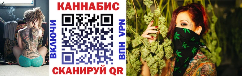 Марихуана план  купить наркотики сайты  Волгодонск 